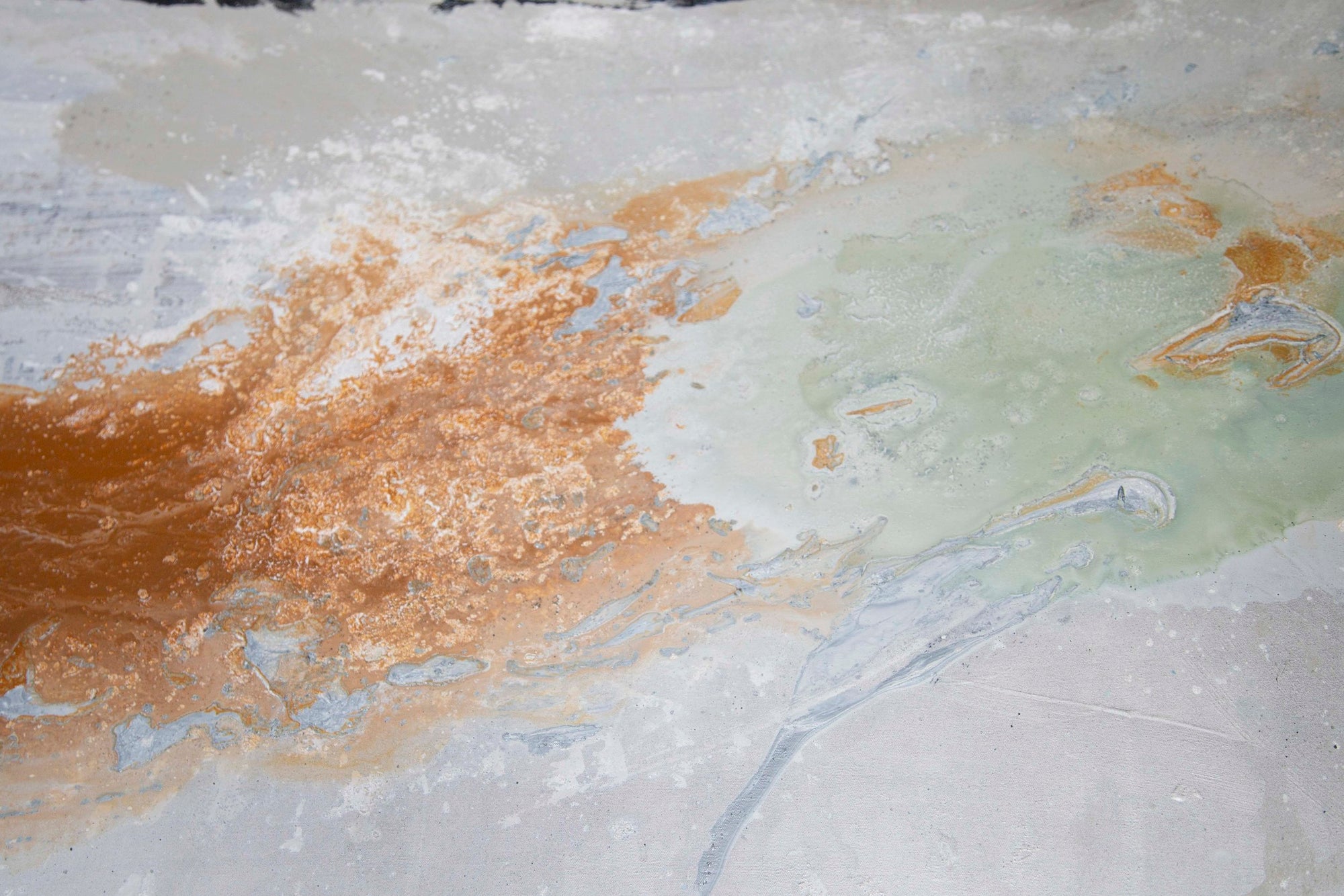 Pinna - Original Painting